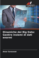 Dinamiche dei Big Data: Gestire insiemi di dati enormi