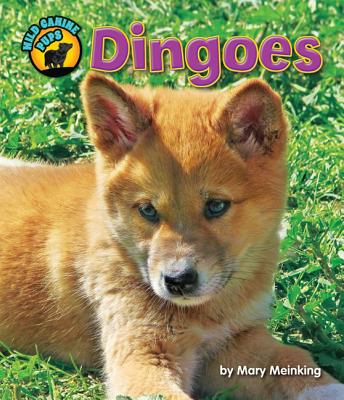 Dingoes - Meinking, Mary, and Van Valkenburgh, Blaire (Consultant editor)