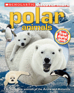 Discover More Polar Animals