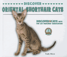 Discover Oriental Shorthair Cats