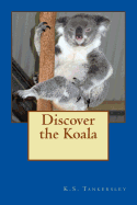 Discover the Koala