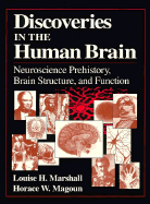 Discoveries in the Human Brain: Neuroscience Prehistory, Brain Structure, and Function