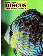 Discus How to Breed Them