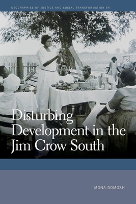 Disturbing Development in the Jim Crow South - Domosh, Mona