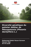 Diversit gntique du palmier dattier de Msopotamie (Pheonix dactylifera L.)