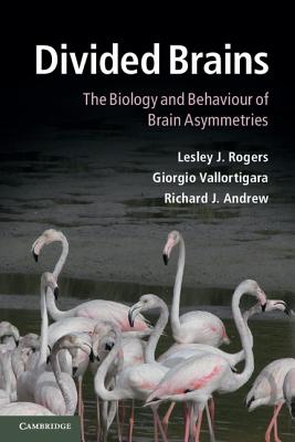 Divided Brains: The Biology and Behaviour of Brain Asymmetries - Rogers, Lesley J., and Vallortigara, Giorgio, and Andrew, Richard J.