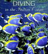 Diving the Indian Ocean - Jackson, Jack, and Jackson