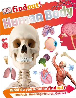 Dkfindout! Human Body - DK