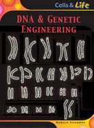 DNA & Genetic Engineering