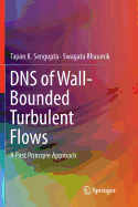 DNS of Wall-Bounded Turbulent Flows: A First Principle Approach