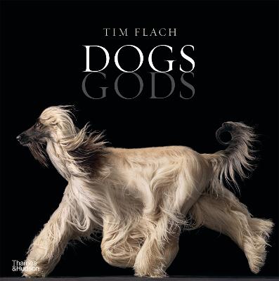 Dogs Gods - Flach, Tim