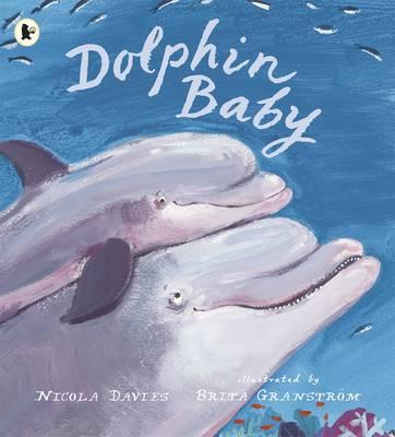 Dolphin Baby - Davies, Nicola