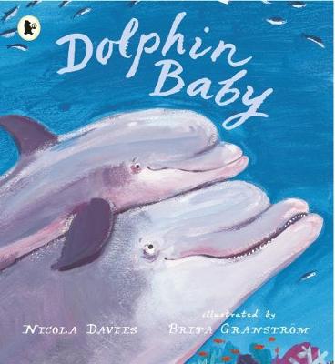 Dolphin Baby - Davies, Nicola