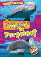 Dolphin or Porpoise?