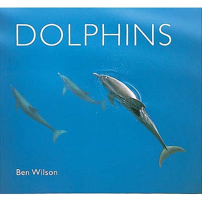 Dolphins - Wilson, Ben