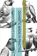 Domestic Birds in Practice: 65 Birds to Recreate in Black and White