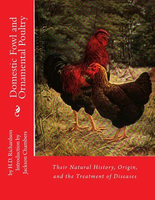 Domestic Fowl and Ornamental Poultry: Their Natural History, Origin, and the Treatment of Diseases - Richardson, H D, and Chambers, Jackson (Introduction by)