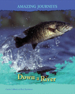 Down a River