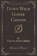 Down Wild Goose Canyon (Classic Reprint)