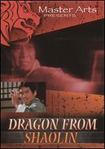 Dragon From Shaolin