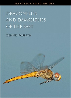 Dragonflies and Damselflies of the East - Paulson, Dennis