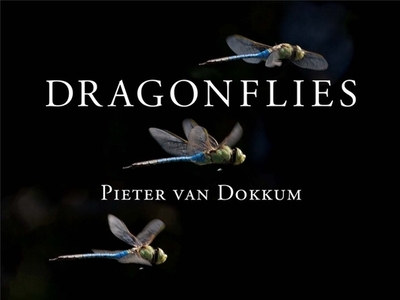 Dragonflies: Magnificent Creatures of Water, Air, and Land - Dokkum, Pieter Van