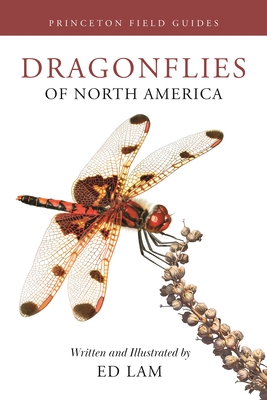 Dragonflies of North America - Lam, Ed