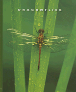 Dragonflies - Lockwood, Sophie