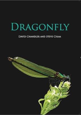 Dragonfly - Chandler, David, and Cham, Steve (Photographer)