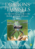 Dragons and Damsels: An identification guide to the British and Irish Odonata