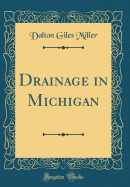 Drainage in Michigan (Classic Reprint)