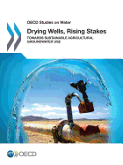 Drying Wells, Rising Stakes Towards Sustainable Agricultural Groundwater Use: OECD Studies on Water