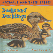 Ducks and Ducklings