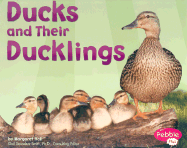 Ducks and Their Ducklings