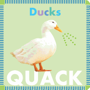 Ducks Quack
