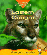Eastern Cougar