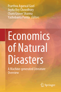 Economics of Natural Disasters: A Machine-Generated Literature Overview