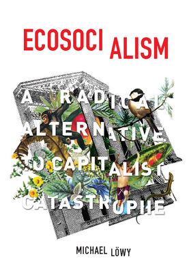 Ecosocialism: A Radical Alternative to Capitalist Catastrophe - Lwy, Michael