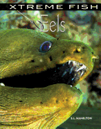 Eels