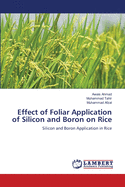 Effect of Foliar Application of Silicon and Boron on Rice