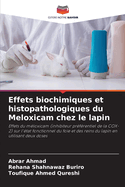 Effets biochimiques et histopathologiques du Meloxicam chez le lapin