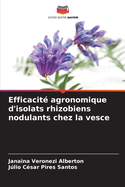 Efficacit? agronomique d'isolats rhizobiens nodulants chez la vesce