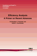 Efficiency Analysis: A Primer on Recent Advances