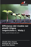 Efficienza del rizobio nei piselli (Vigna unguiculata L. Walp.)