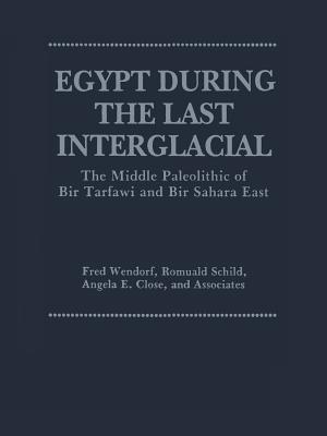Egypt During the Last Interglacial: The Middle Paleolithic of Bir Tarfawi and Bir Sahara East - Close, Angela E, and Schild, Romuald, and Wendorf, Fred
