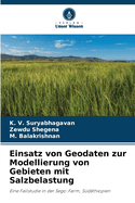 Einsatz von Geodaten zur Modellierung von Gebieten mit Salzbelastung