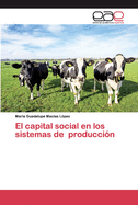 El capital social en los sistemas de producci?n