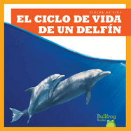 El Ciclo de Vida de Un Delf n (a Dolphin's Life Cycle)