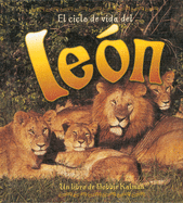 El Ciclo de Vida del Le?n (the Life Cycle of a Lion)