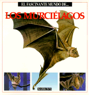 El Fascinante Mundo de Los Murcielagos - Julivert, Maria Angels, and Arridondo, F (Illustrator), and Marcel Socias Studio (Illustrator)